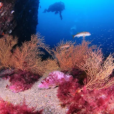 Urdaibai 2 דירה ברמאו